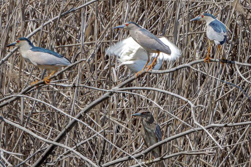 Photograph by Lapin Vitaly