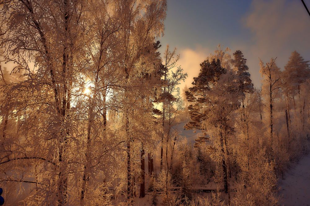 Photograph by Владимир Малевич