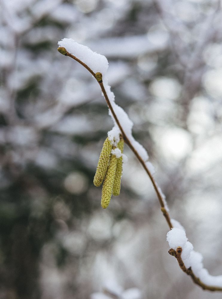 Photograph by Светлана Фоменко