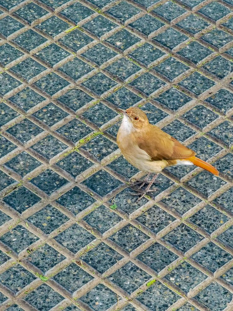 Photograph by Сергей Аверченко