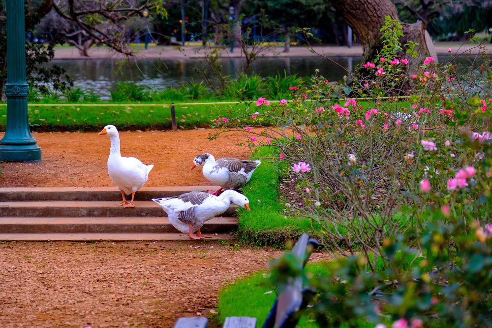 Photograph by Сергей Аверченко