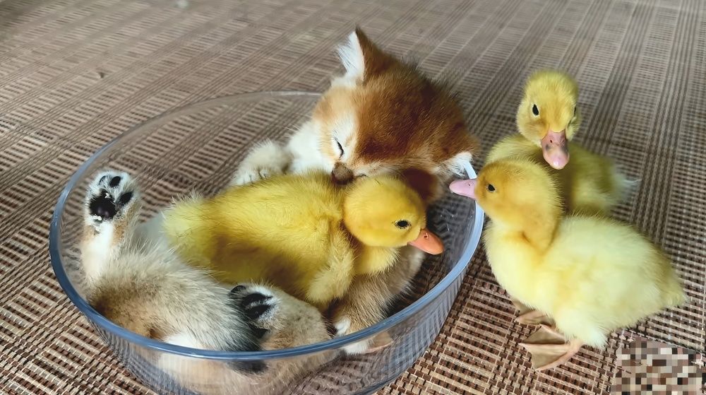 Согревающее