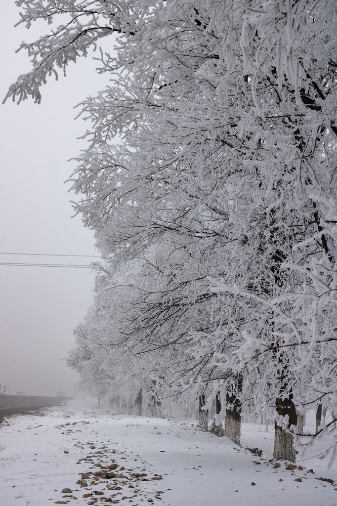 Photograph by ольга стаценко