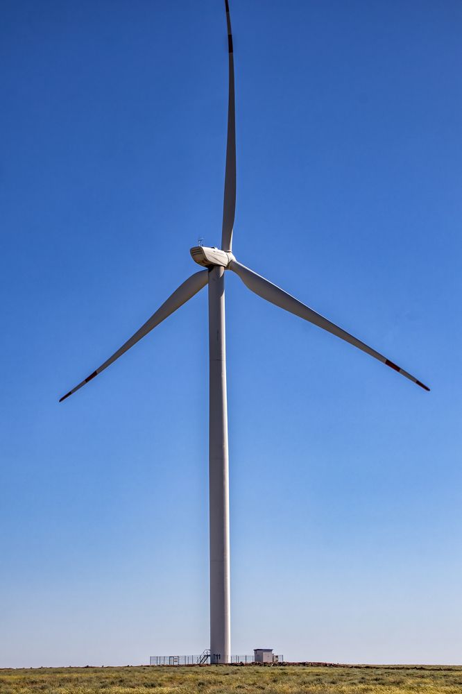 Photograph by ольга стаценко