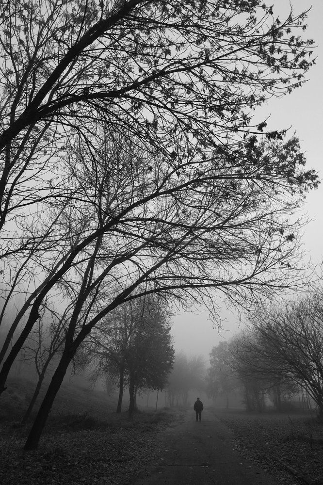 Photograph by Mila Nikolova