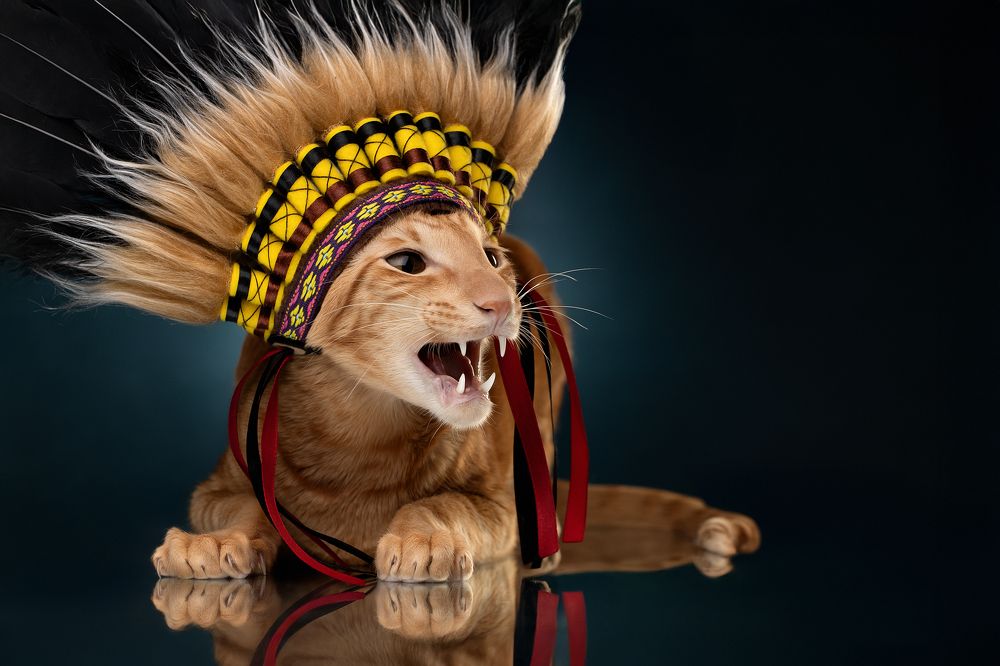 Photograph by Светлана Писарева