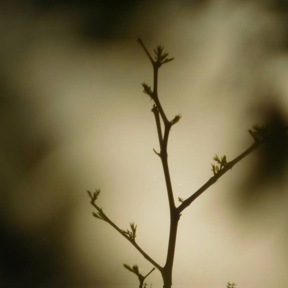 Photograph by Erika Osipova