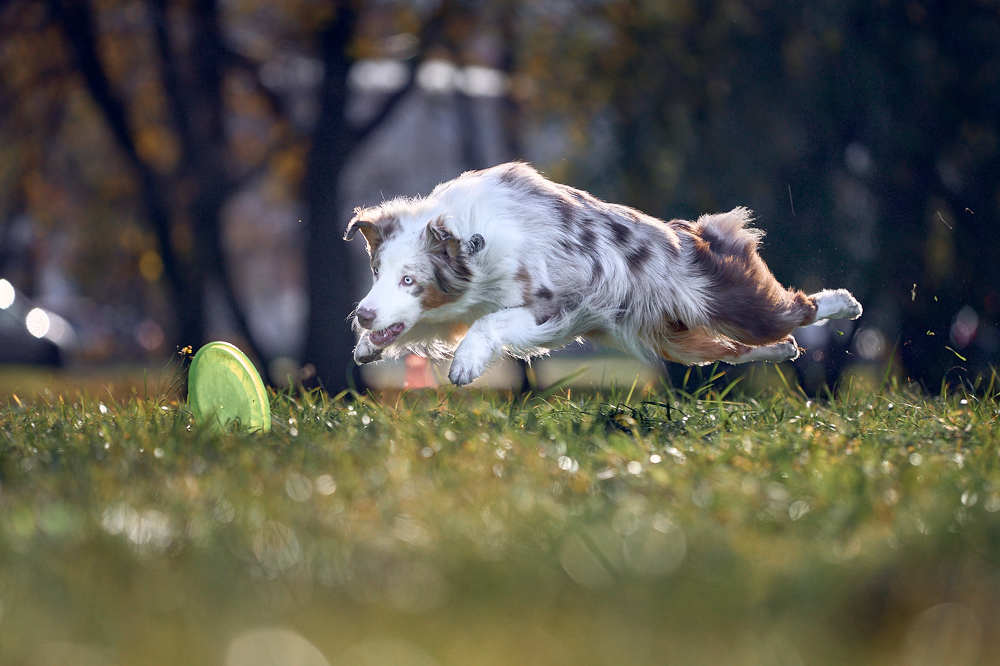 Photograph by Mikhail Khmelevskiy