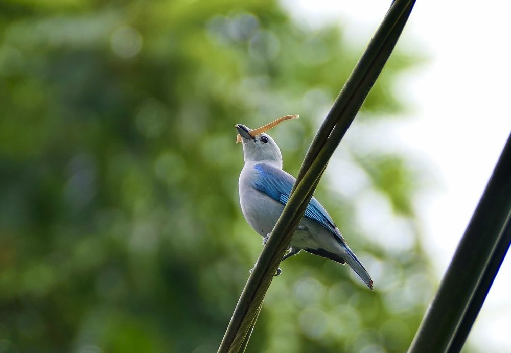 I'm building myself a house