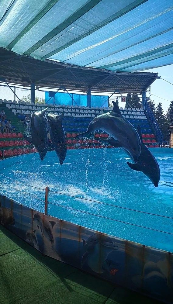 Photograph by Марина Жарикова