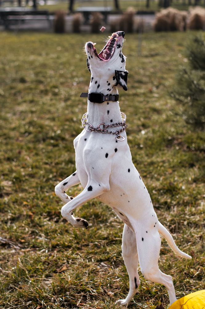 Photograph by Анна Опанасенко