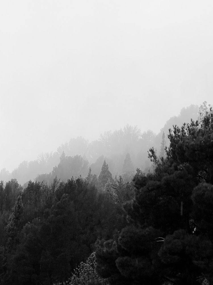 Photograph by Ahmad LOUKILI