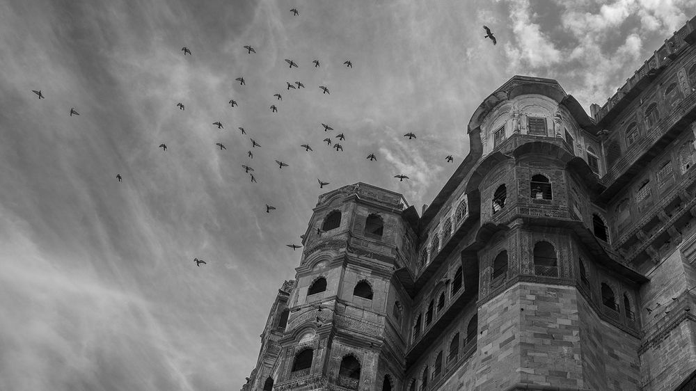 Фотография автора Raju Nair