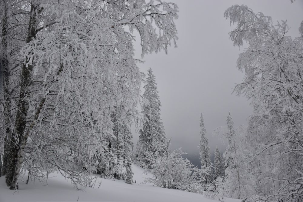 Photograph by Ксения Харлапина