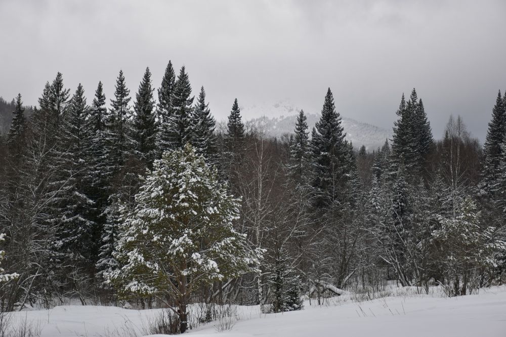 Photograph by Ксения Харлапина