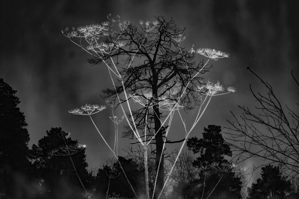 Photograph by Sergey Vatta