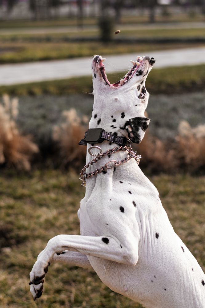 Photograph by Анна Опанасенко