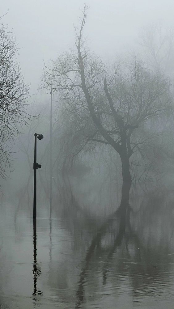 Photograph by Наталья Анисимова