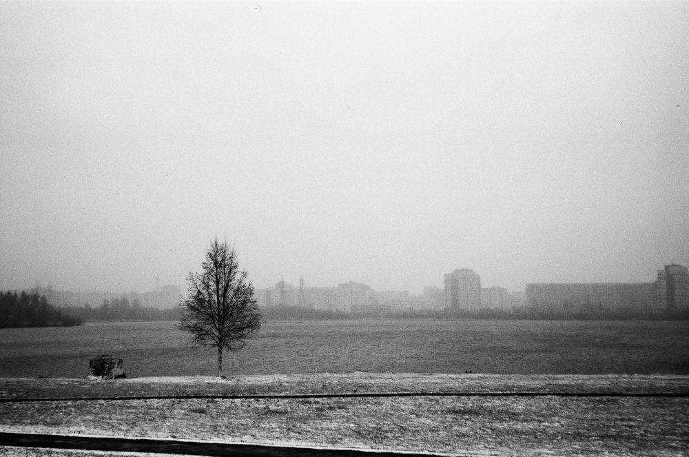 Фотография автора Shergina Valeria