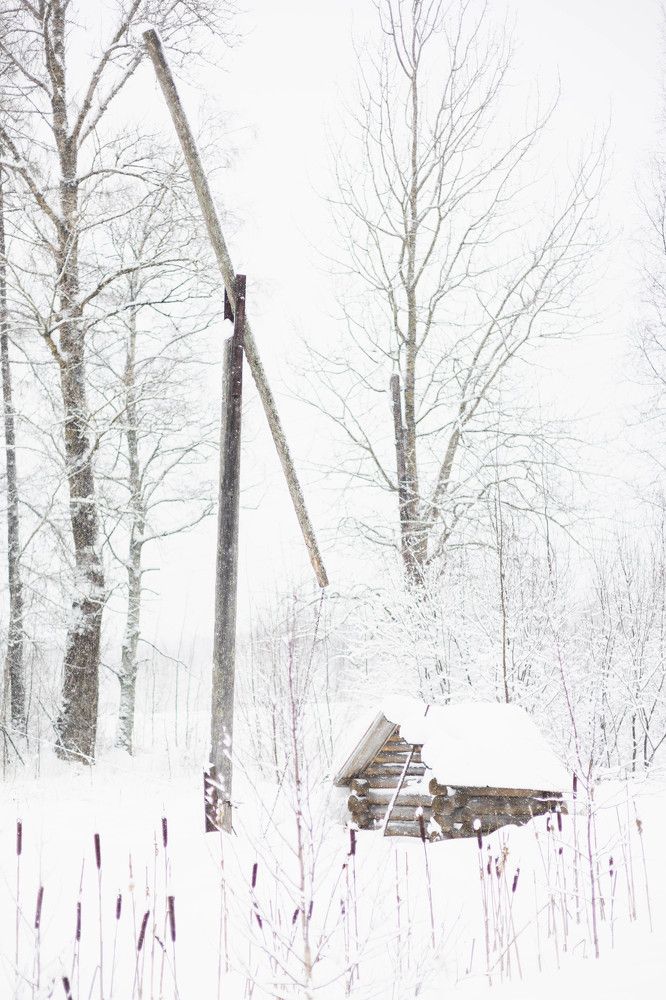 Фотография автора Татьяна Степанова