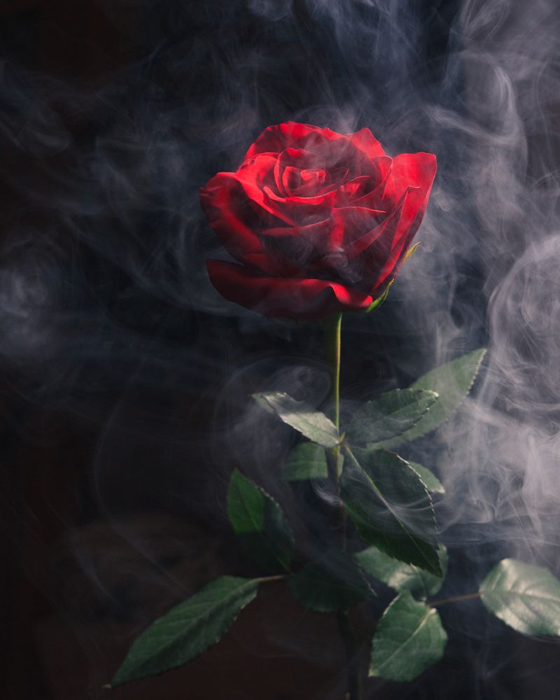 Красота в беде