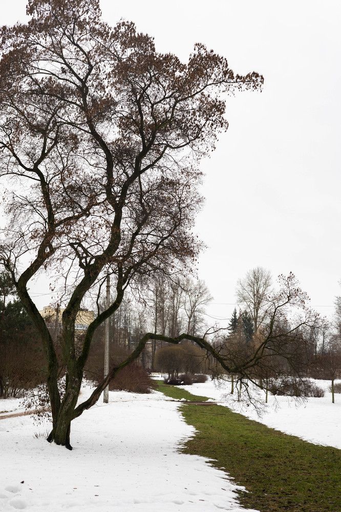 Фотография автора Татьяна Степанова