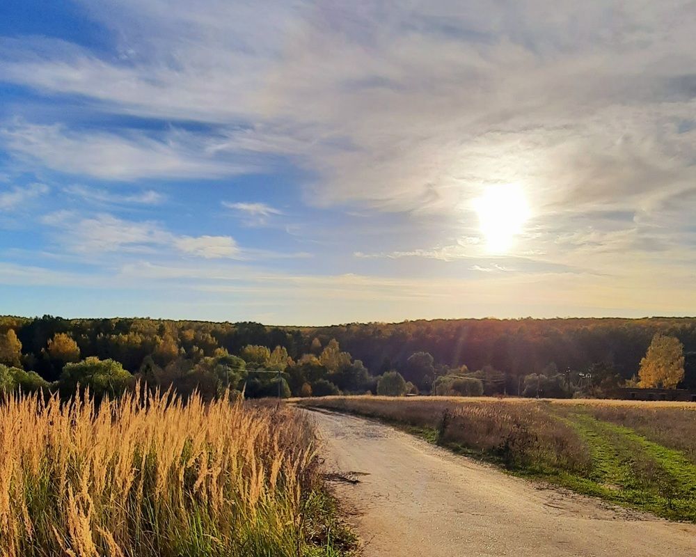 Photograph by Жанна Нечаева