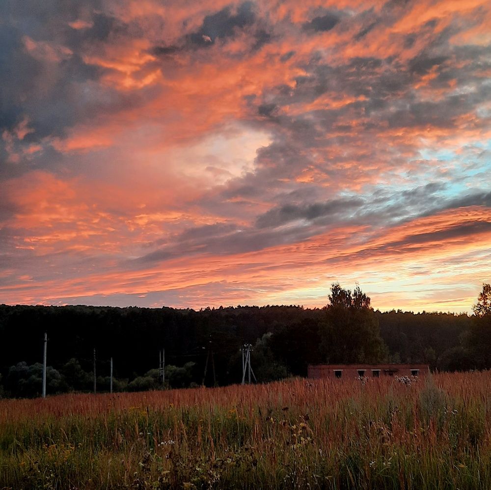 Photograph by Жанна Нечаева