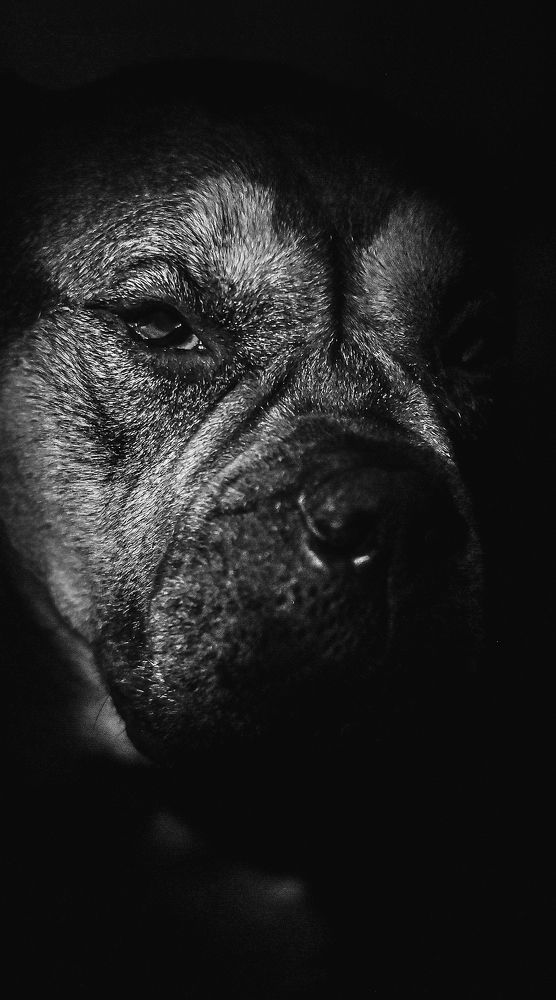 Photograph by Инесса Бедряк