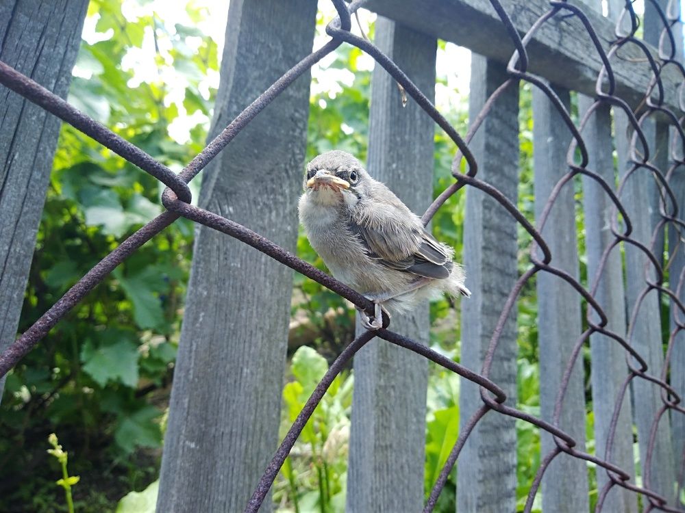 Photograph by Веретельников Дмитрий
