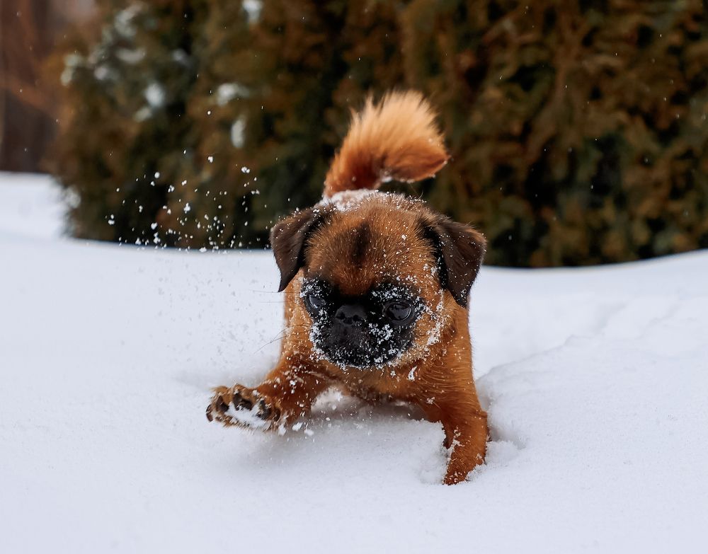 Photograph by Татьяна Кауфман