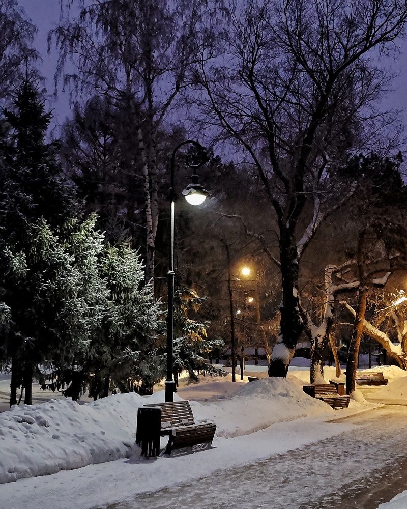 Зимний парк