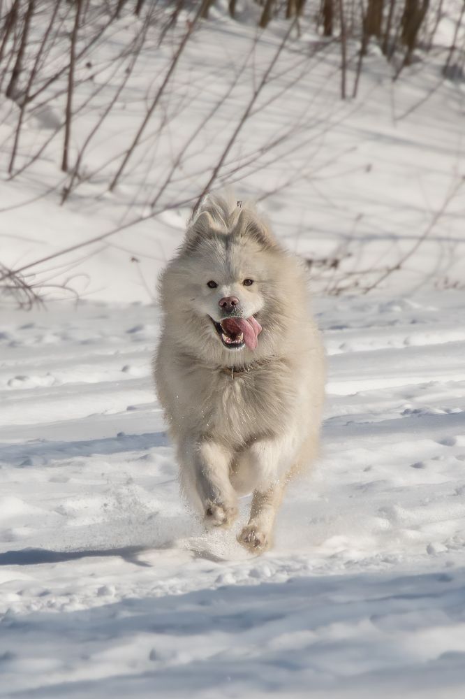 Photograph by Высотских Владимир