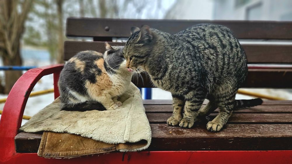 Photograph by Наталья Анисимова