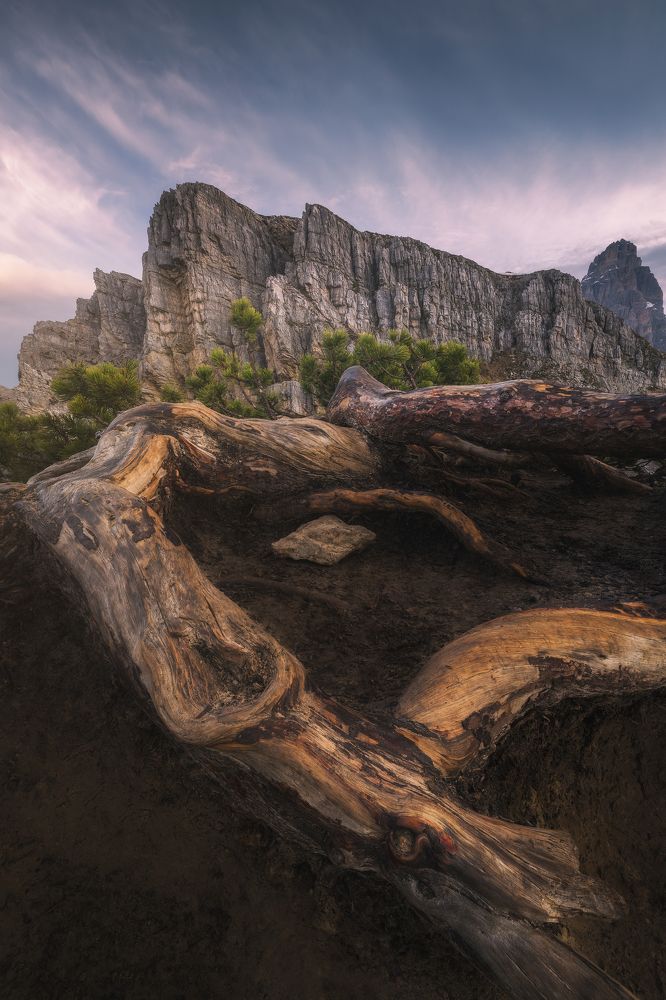 Photograph by Fu Yen Cheng