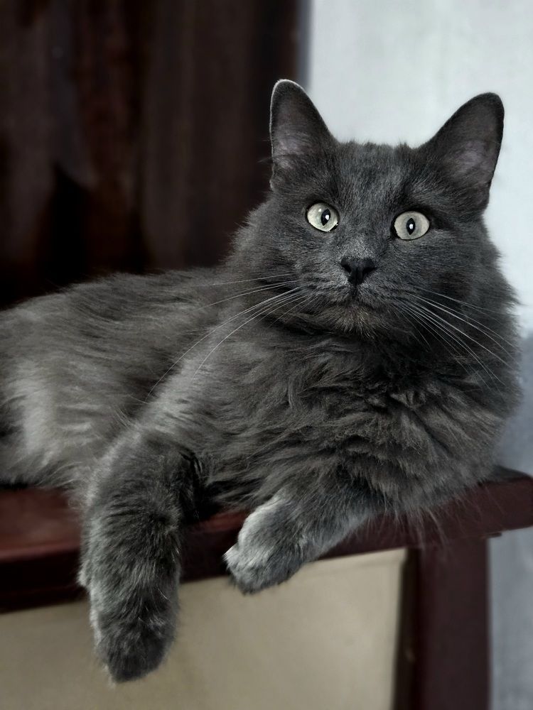 Photograph by Sofia Koshman