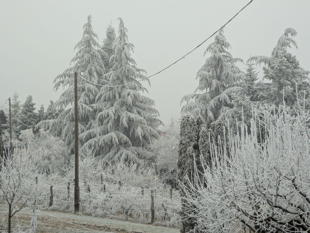 Photograph by Marina Razheva