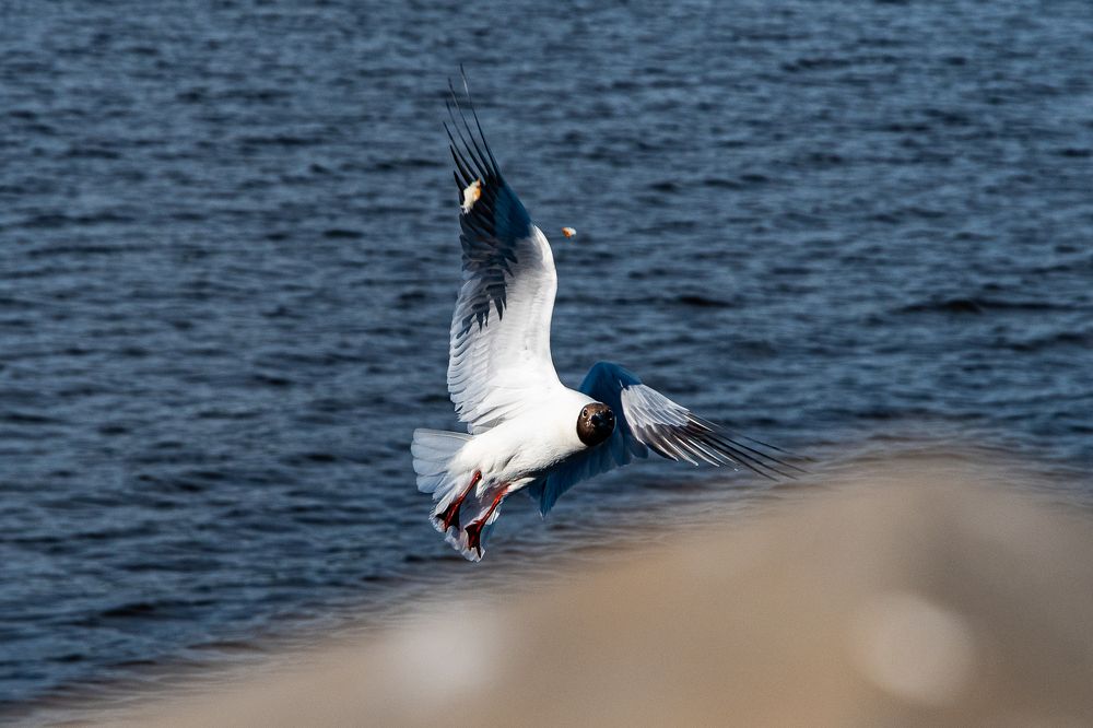 Photograph by Viktor Lazarev