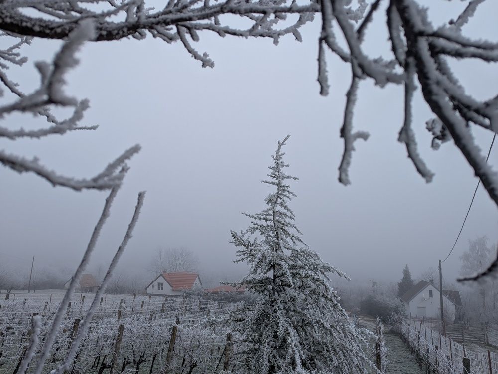 Photograph by Marina Razheva