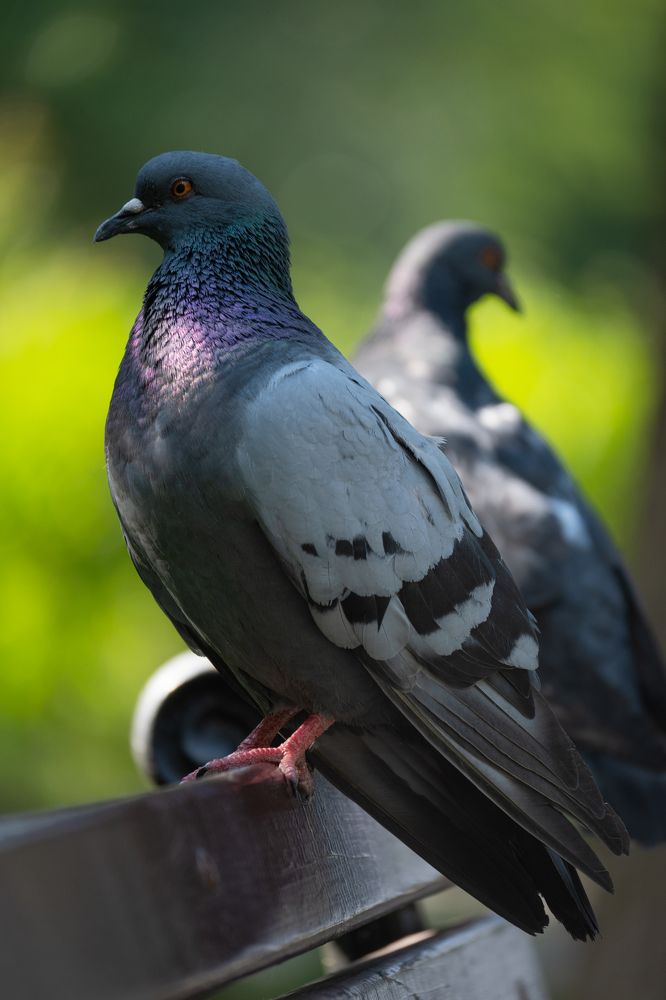 Photograph by Денис Пономарёв