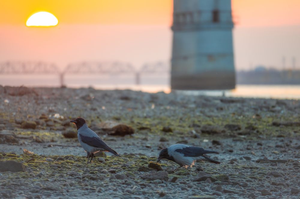 Photograph by Денис Пономарёв