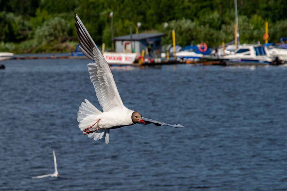 Photograph by Viktor Lazarev