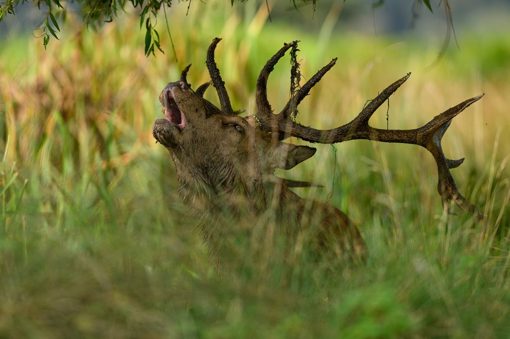 Фотография автора Lukasz Wojcik