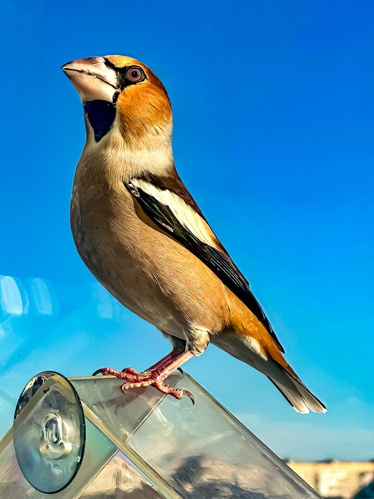 Photograph by Татьяна Галаева