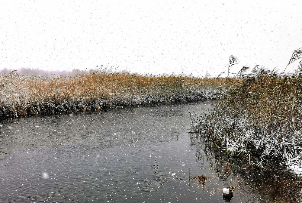 Photograph by Ольга Попченко