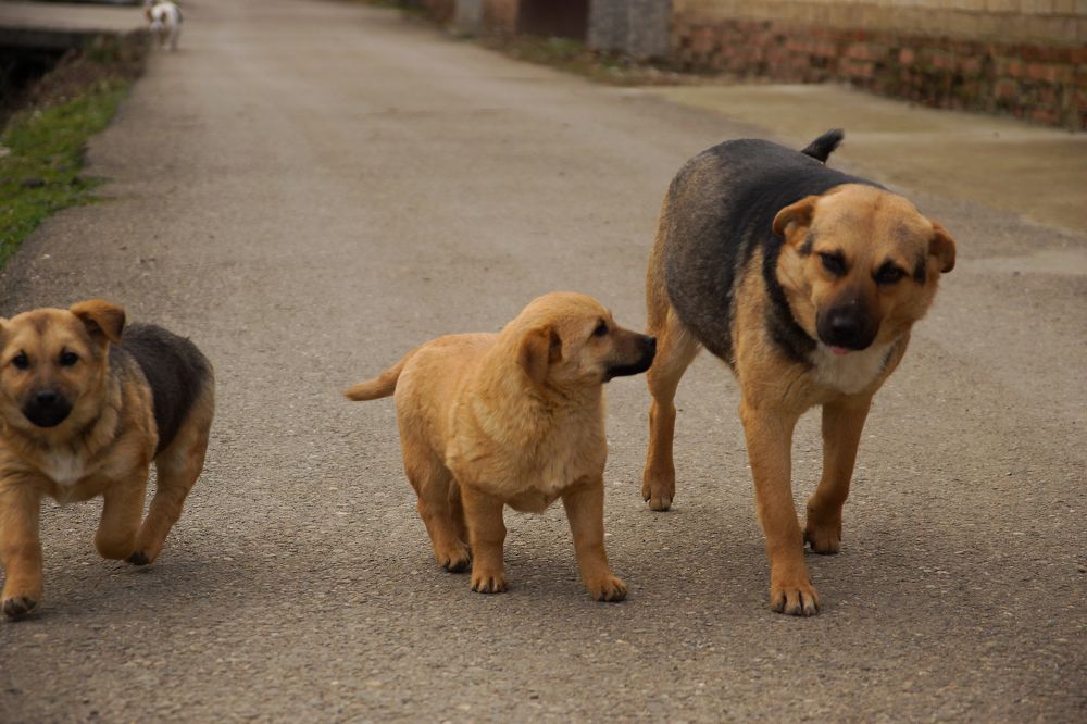 Фотография автора Татьяна Брык