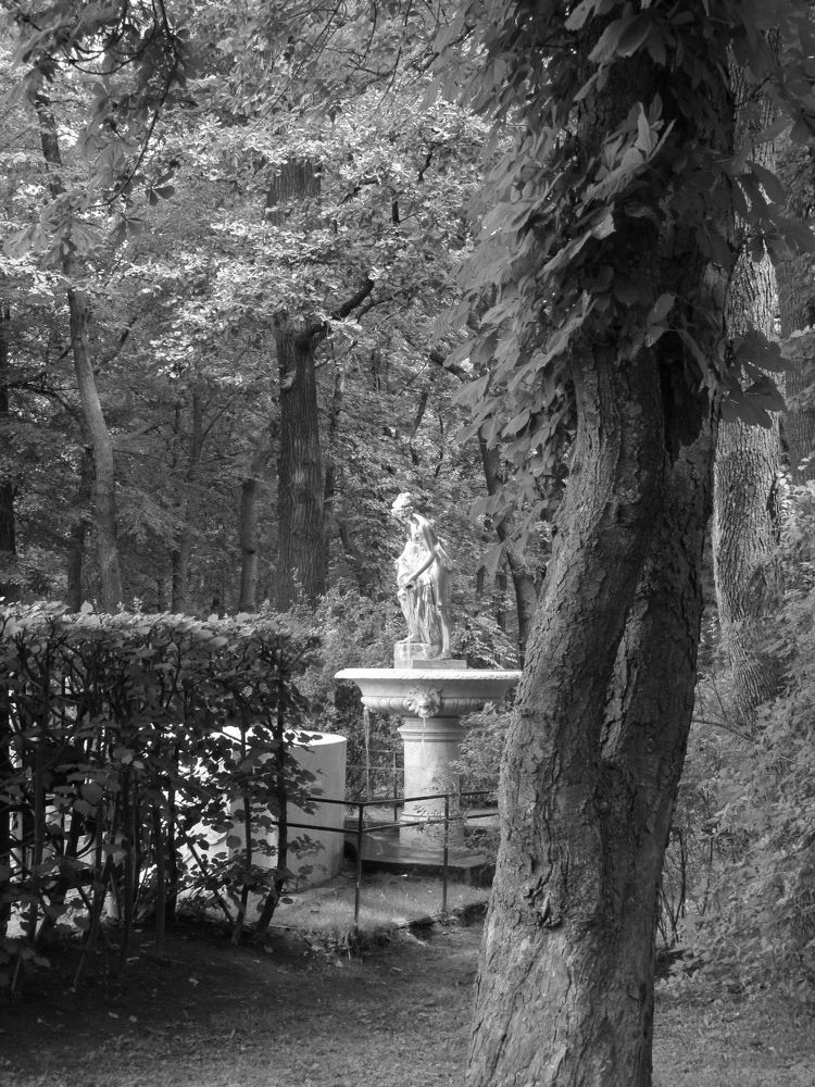 Фотография автора Кузьмичева Екатерина Васильевна