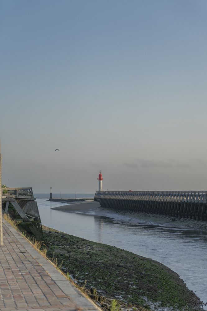 Фотография автора Ирина Зайцева