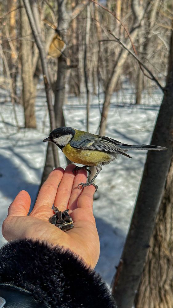 Photograph by Татьяна Галаева