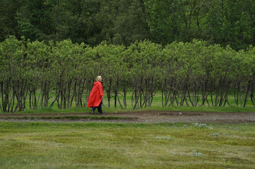 Фотография автора Ирина Зайцева